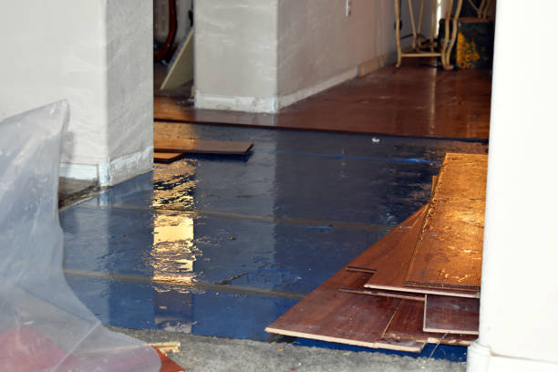 Professional Storm Water Damage Restoration technician working in New Lexington, OH